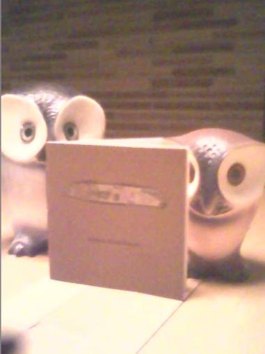 1455019_662602023770671_165420386_n