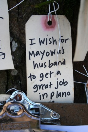 I wish for Mayowa's husband to get a great job in Plano. (TX?)