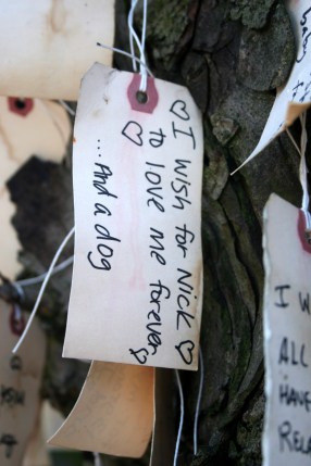 I wish for Nick to love me forever. ...And a dog.