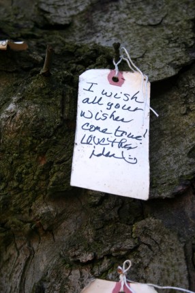 I wish all your wishes could true! Love this idea.