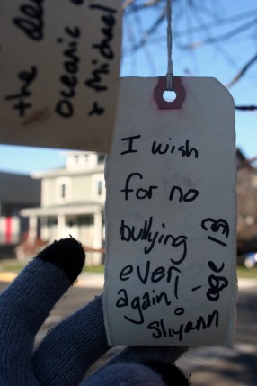 I wish for no bullying ever again! -- Shyann age 13
