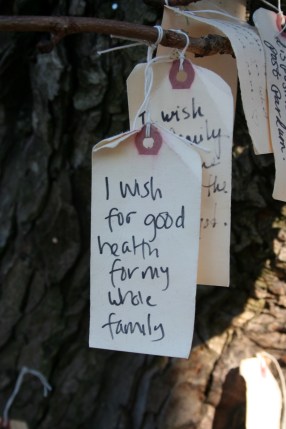 I wish for good health for my whole family.