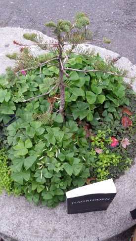 Mill Ends Park, Portland, OR.