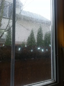 This is the view today from my kitchen window as I make cocoa.