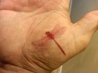 My dragonfly tattoo.